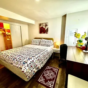 Cozy Private With Shared Bathroom On The 1st Floor - Conveniently Located Near Seatac Airport And Downtown Homestay